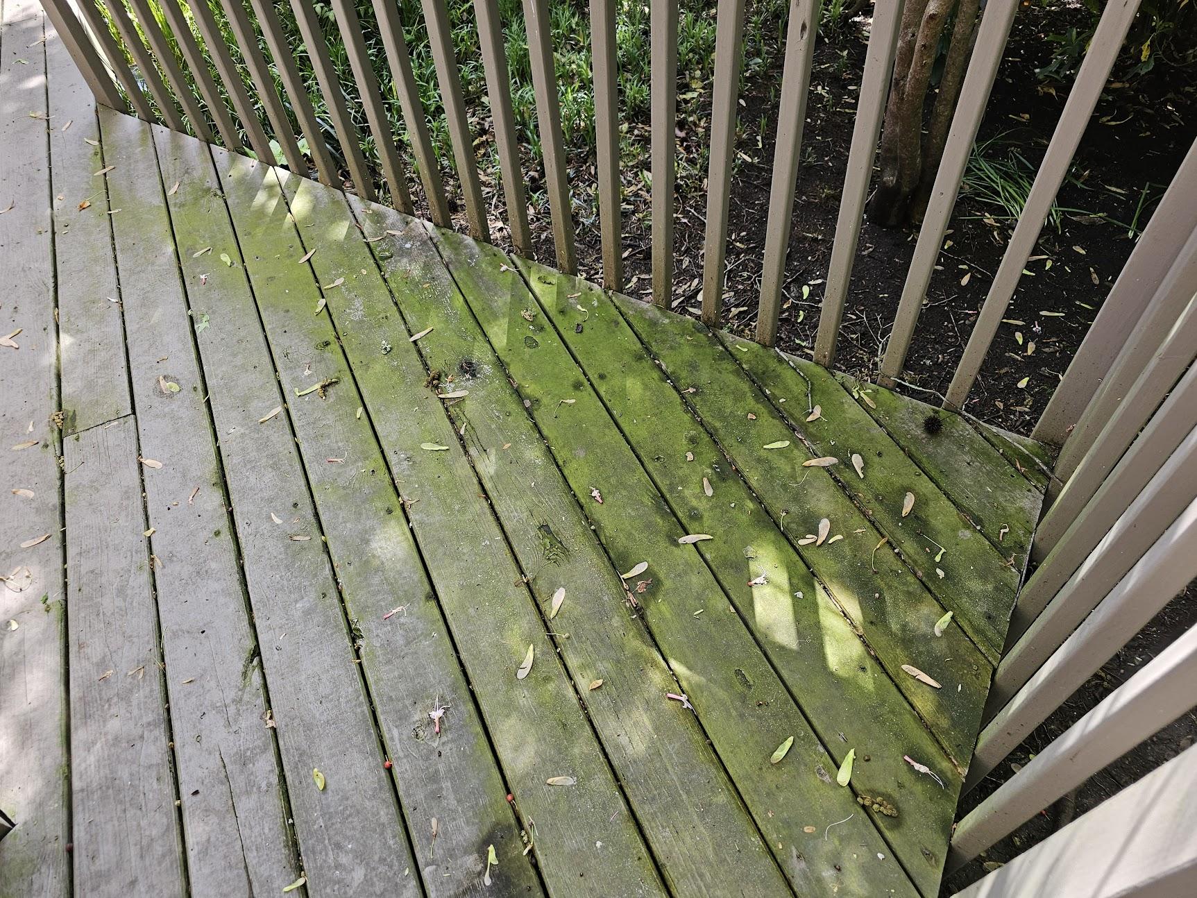 Before - Deck cleaning and restoration results