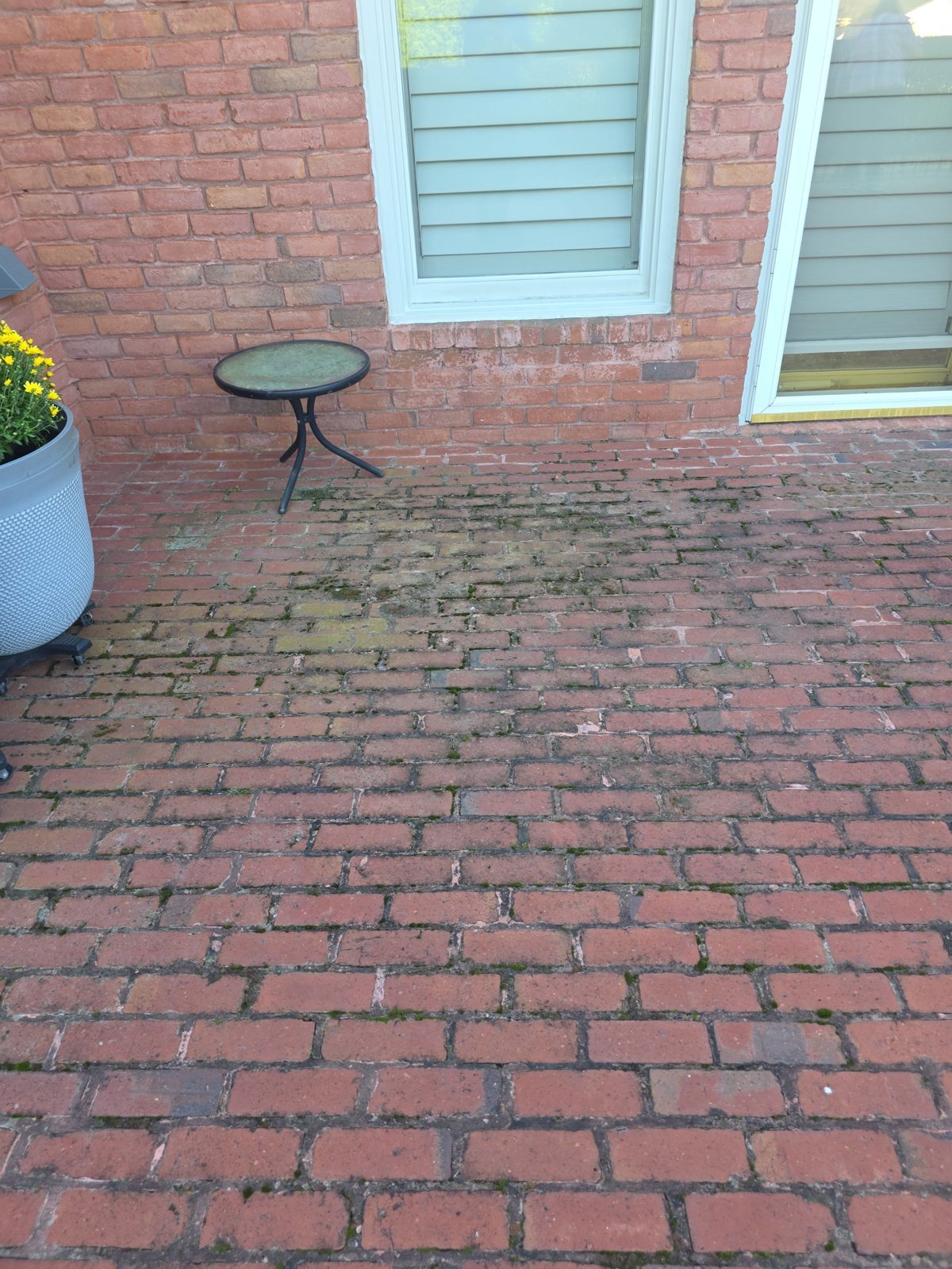 Red brick patio pavers in Thornberry, Alpharetta, covered in green moss and dark mildew before cleaning, with a black grill and covered furniture at the edge of the patio