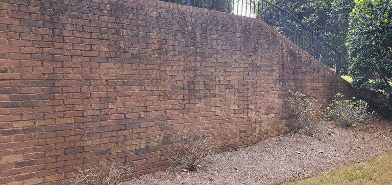 Brick retaining wall darkened by mildew before cleaning