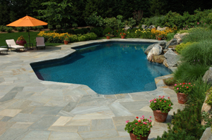 backyard swimming pool 