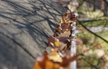 Why You Should Keep Your Gutters Clean Alpharetta, GA