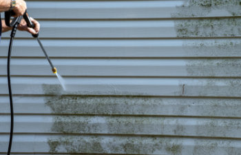 the vinyl siding is molded and slimy but a good power washing takes care of the problem nicely